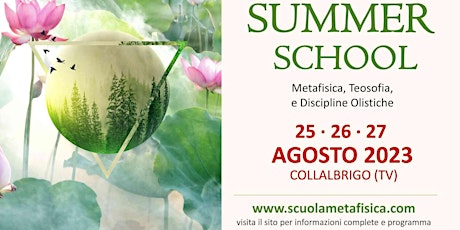 Immagine principale di SUMMER SCHOOL 2023 