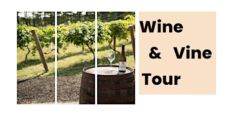Wine & Vine Tour