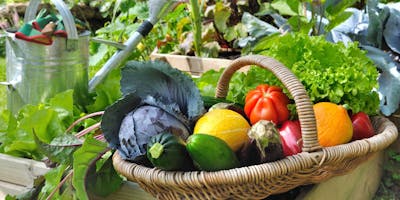 Seasonal Vegetable Gardening