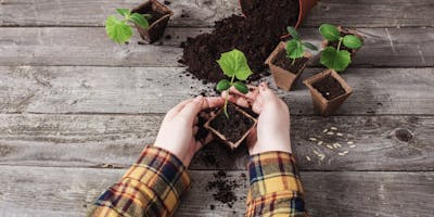 Stories and Seedlings in the Park