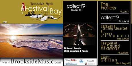 collectif9 - Festival of the Bay