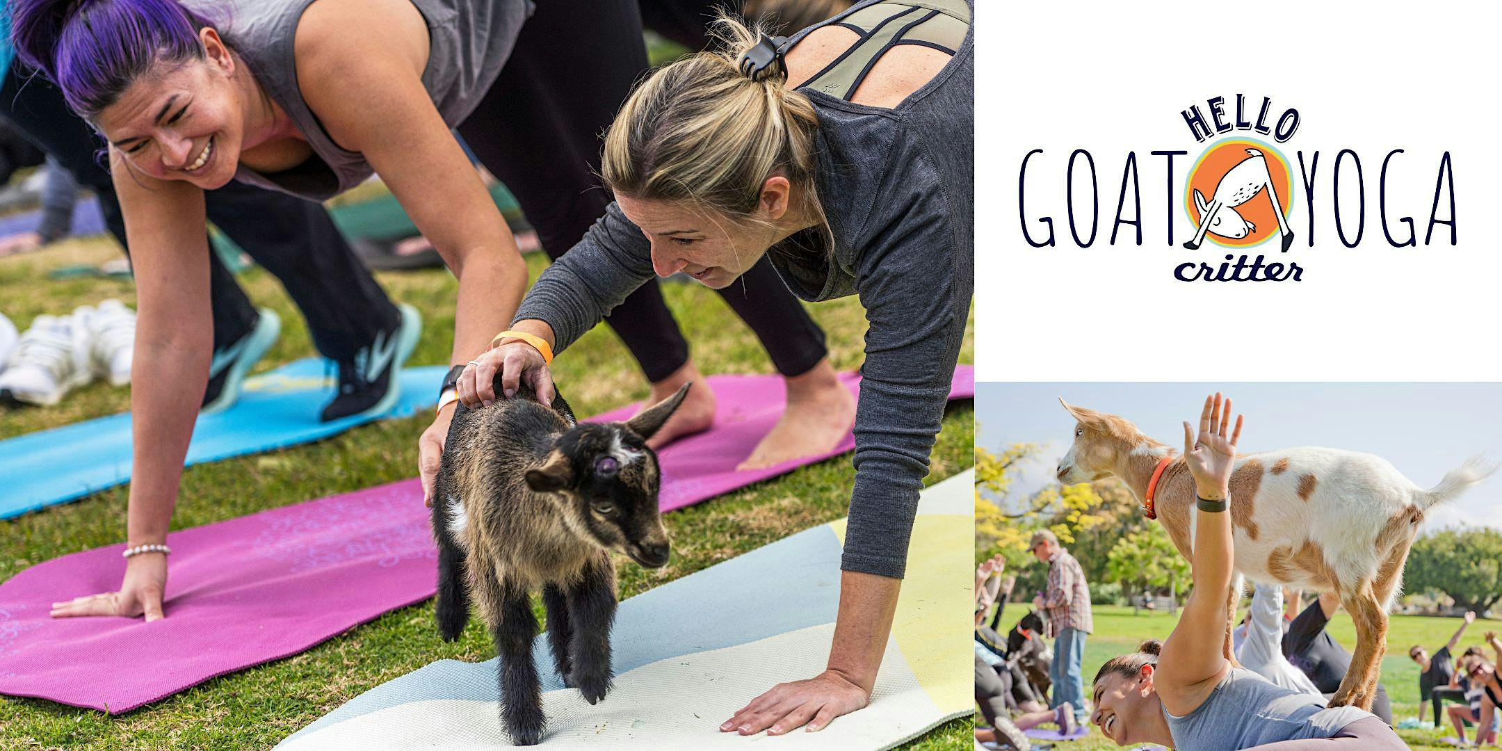 10 am Baby Goat Yoga at the L.A. Arboretum - Arcadia, CA
