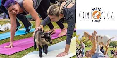 11 am Goat Yoga at the L.A. Arboretum primary image