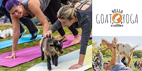 Baby Goat Yoga at the L.A. Arboretum