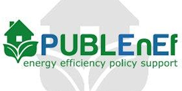 Public-private partnerships for energy efficiency policies