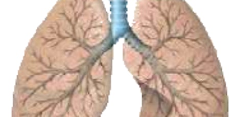 Imagem principal do evento Diagnóstico da Hipertensão Pulmonar