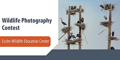Eccles Wildlife Education Center — Wildlife Photography Contest