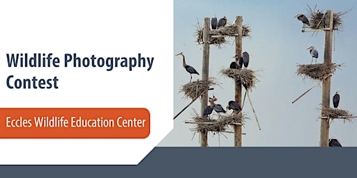 Eccles Wildlife Education Center — Wildlife Photography Contest primary image