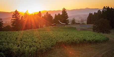 Hauptbild für IN A LANDSCAPE: Soter Vineyards