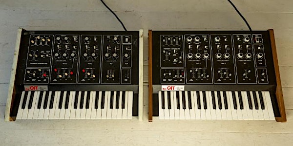 Michael Snow / Mani Mazinani (Synthesizer Duo)