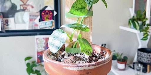 Buena Vibra Plant Shop Presents: Art Therapy & Plants primary image