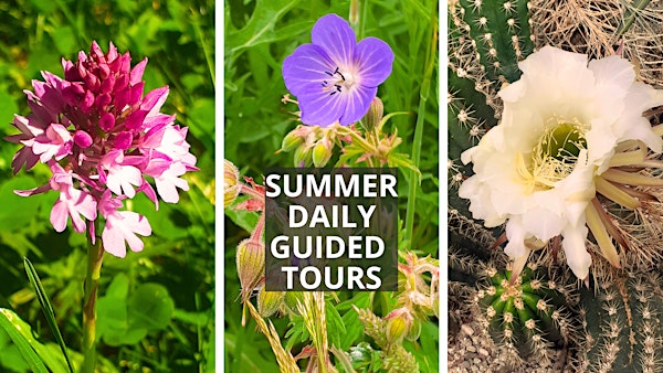 Summer Daily Guided Tours