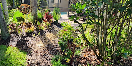 Low-Maintenance Landscaping (webinar) primary image