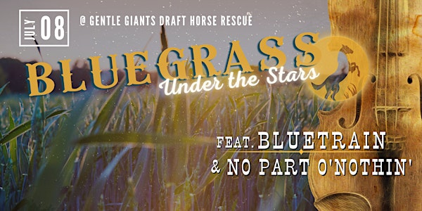 Bluegrass Under the Stars feat. Bluetrain