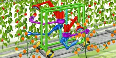 L’Agricoltura di Precisione a tutto tondo L’Agricoltura di Precisione a tutto tondo