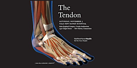 Yale Foot & Ankle Society, Inc. Fall Seminar 2018-The Tendon primary image