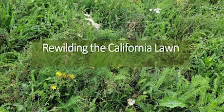 Imagem principal de Rewilding the California Lawn