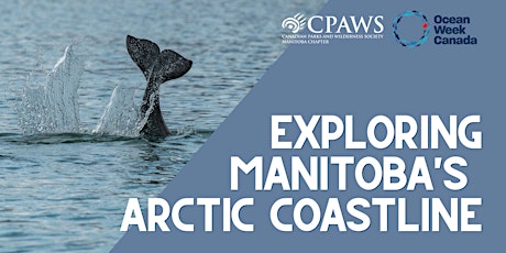 Exploring Manitoba's Arctic Coastline: Dive into Ocean Week with CPAWS MB!