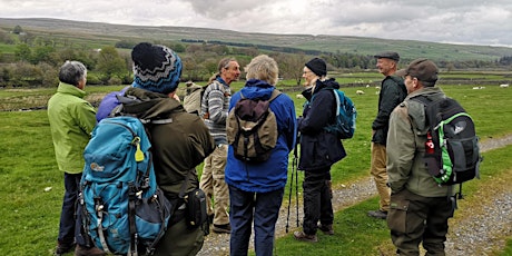 Archeology and Flora short walk around Holwick, Upper Teesdale primary image