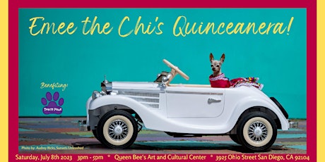Emee the Chi's Quinceanera!