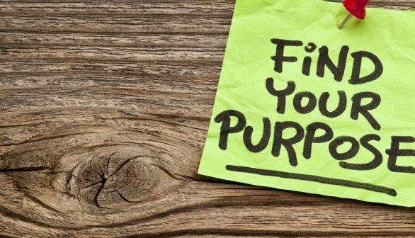 How to Align Your Life's Purpose to Your Career