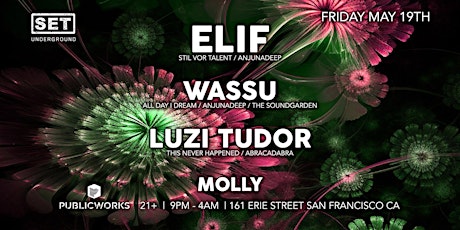 SET w/Anjunadeep's ELIF,  Wassu & Luzi Tudor in SF