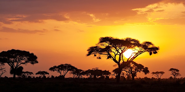 2023 dōTERRA Co-Impact Sourcing Trip - Kenya (North America Market)