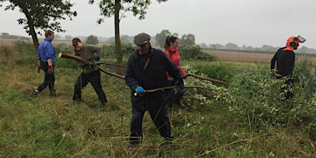 The Great Twin Part Dig: Year 2 (Tree and scrub removal for Biodiversity) primary image