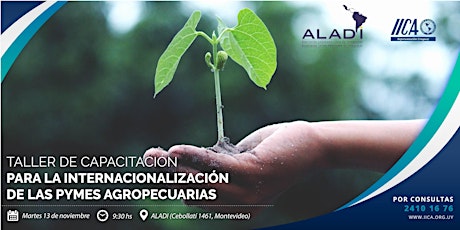 Imagen principal de Taller de capacitación para internacionalización de pymes agropecuarias ALADI-IICA