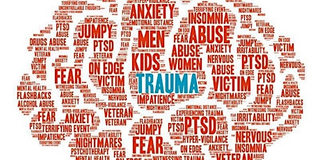 Imagen principal de Trauma Informed Practice Training (CPD Accredited)