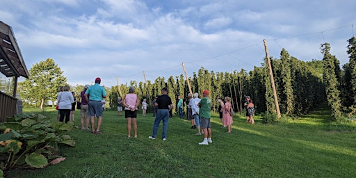 Hop Farm Tour at a Local Brewery (beer included)