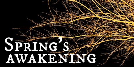 Spring's Awakening - Friday, November 2nd @ 8PM primary image