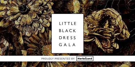 Little Black Dress Gala 2018 
