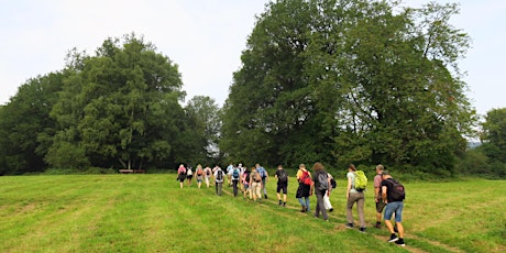 Hauptbild für Sa,27.04.24 Wanderdate Neroberg, Rabengrund, Goldsteintal für 50+