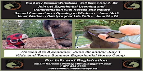 Healing with Horses on Salt Spring Island