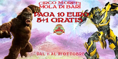 Il Circo M.Orfei a MOLA DI BARI A 10 euro Il Circo M.Orfei a MOLA DI BARI A 10 euro
