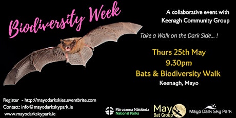 Biodiversity Week - Bats & Dark Skies Walk primary image