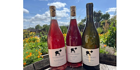 New Summer Release Event - 6 new summer wines and Bubbly! primary image