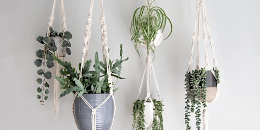 Macrame Plant hangers craft Online  primärbild