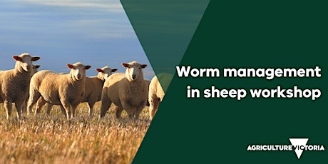 Image principale de Identification and management of worms in sheep workshop PARAPARAP
