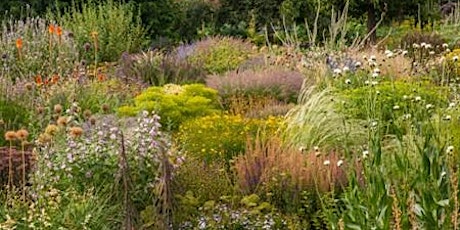 Image principale de Private garden visit to Tom Stuart-Smith's The Barn Garden and Serge Hill