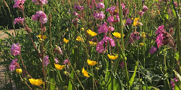 Quinton Old Rectory Garden Open Day