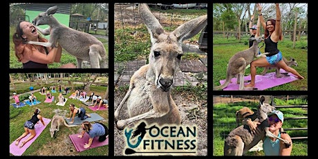Kangaroo Yoga Fun at Tree House Farm!!