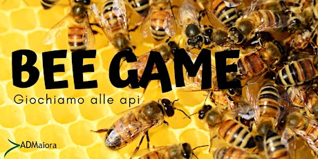 BEE GAME - Giochiamo alle api