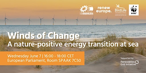 Image principale de Winds of change: a nature positive energy transition at sea