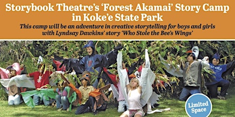 Primaire afbeelding van Storybook Theatre's 'Forest Akamai Story Camp in Kokee.