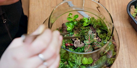 Make a Terrarium Workshop With ome