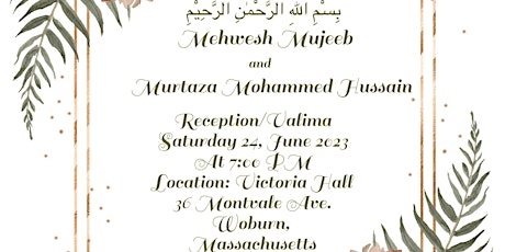 Mehwesh Mujeeb and Murtaza's reception and valima