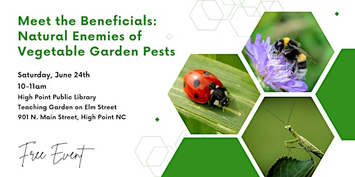 Meet the Beneficials: Natural Enemies of Vegetable Garden Pests primary image