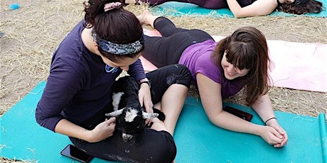 Goat Yoga and Hang with the Herd in Tallahassee